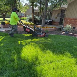 Lawn care services