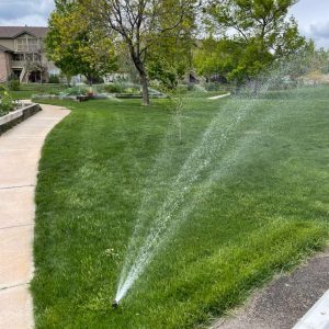 WhatsApp Image 2025-10-17 at 13.12.33_2a48b568